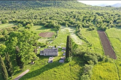 WhatsApp Image 2025-08-07 at 14.39.36 (2).jpeg